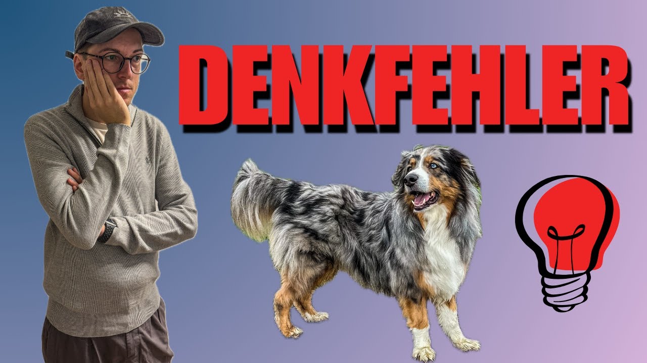 ❌ Der IRRTUM, an den fast alle Hundebesitzer glauben