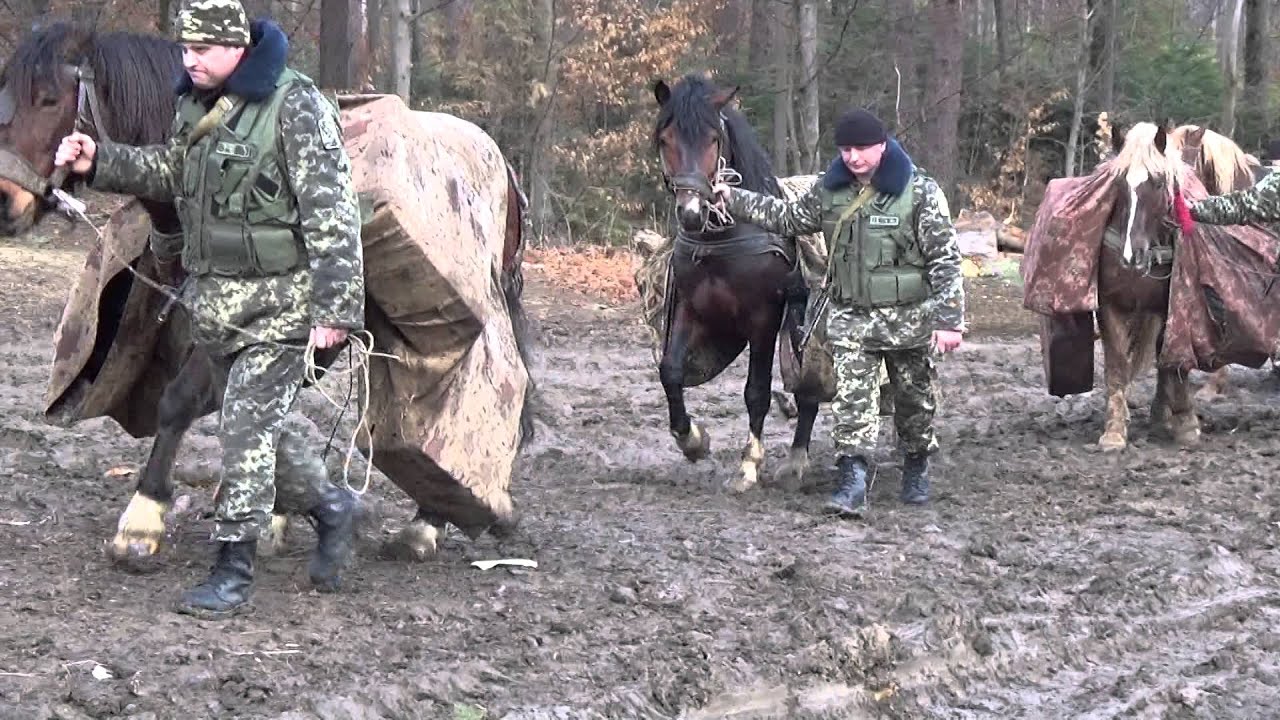 Затримання каравану цигарок , впс 