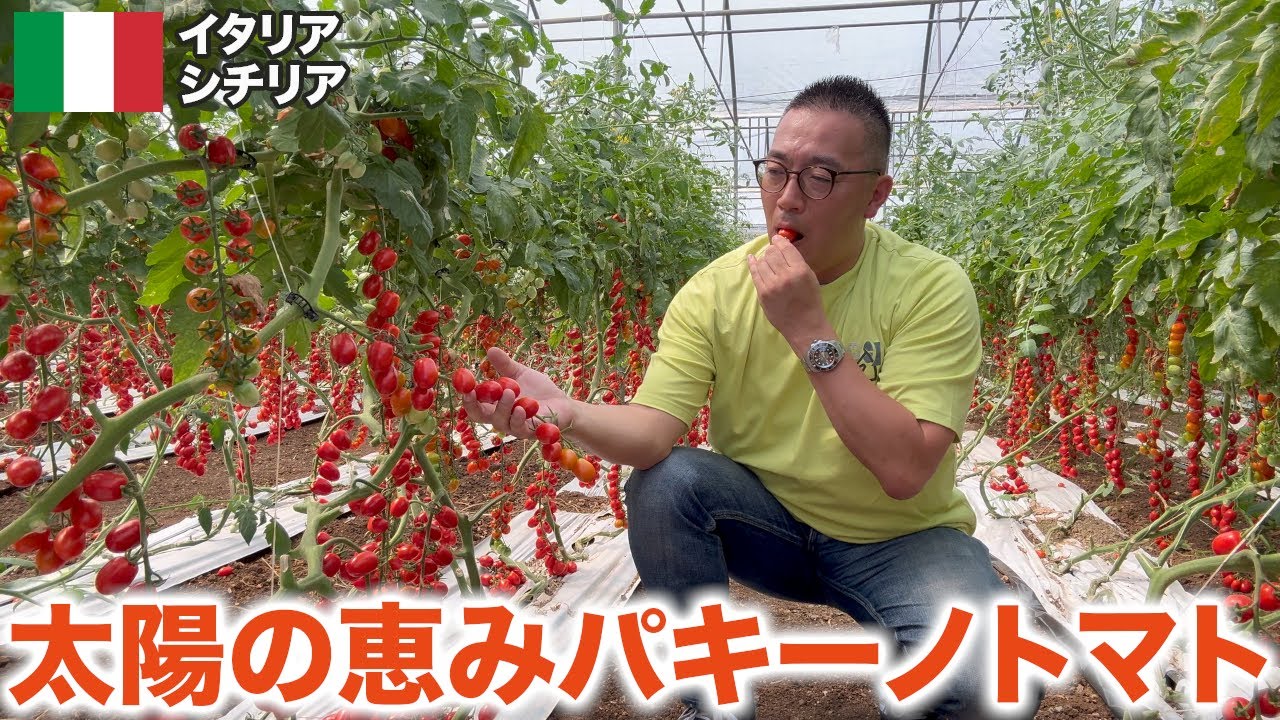 イタリア・シチリア島の名産『パキーノトマト』を求めてハイウェイドライブ旅