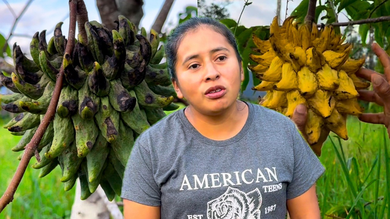 CHIRIMOYA Silvestre, la fruta con un sabor único | Doña Viky