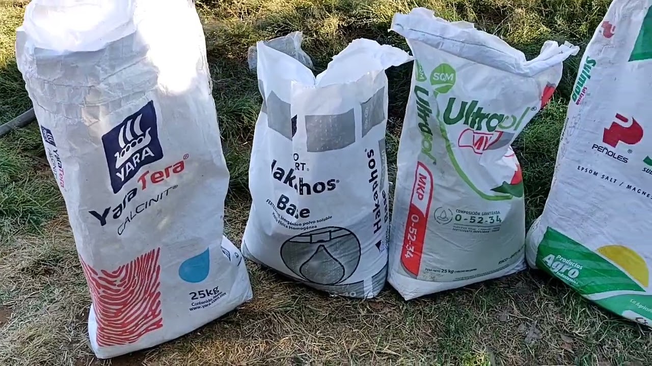 Nutrición de Cultivo Jitomate Var. Vikingo 🍅🍅