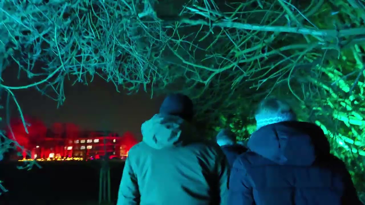 Let's Glow Basingstoke 2026 through the woods in the War Memorial Park 