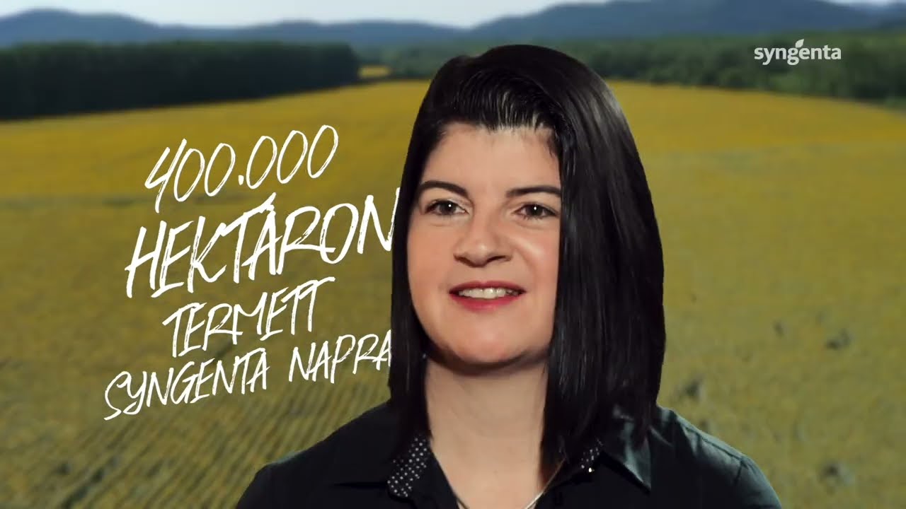 6 tonna - a napraforgó titkai - 2. rész