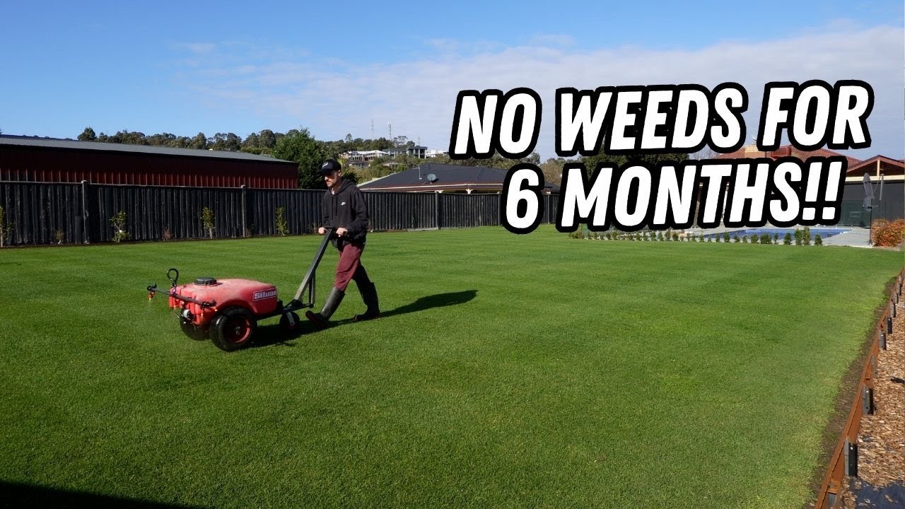 STOP WEEDS FROM GROWING // Spartan pre-emergent application