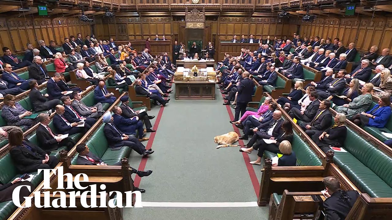 The House of Commons sits to discuss the King's speech - watch live