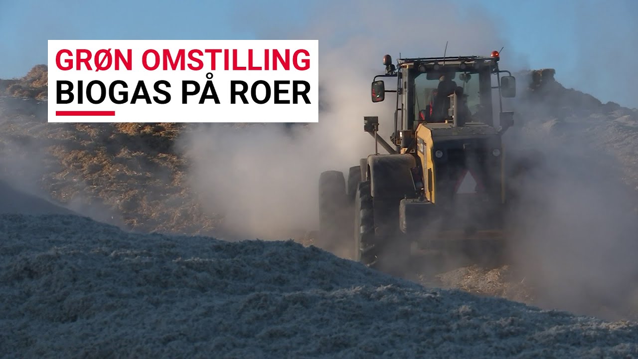 Grøn Omstilling - Biogas på sukkerroer
