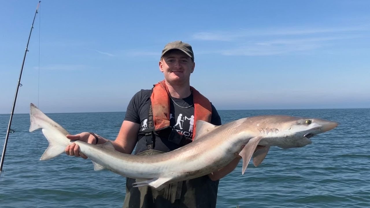 Spring Tope Fishing off the Fylde Coast