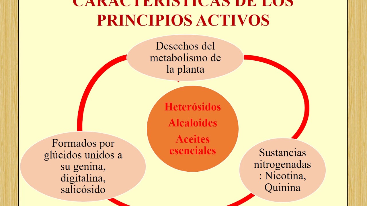 Metabolitos primarios y secundarios: Clase de Fitoquímica