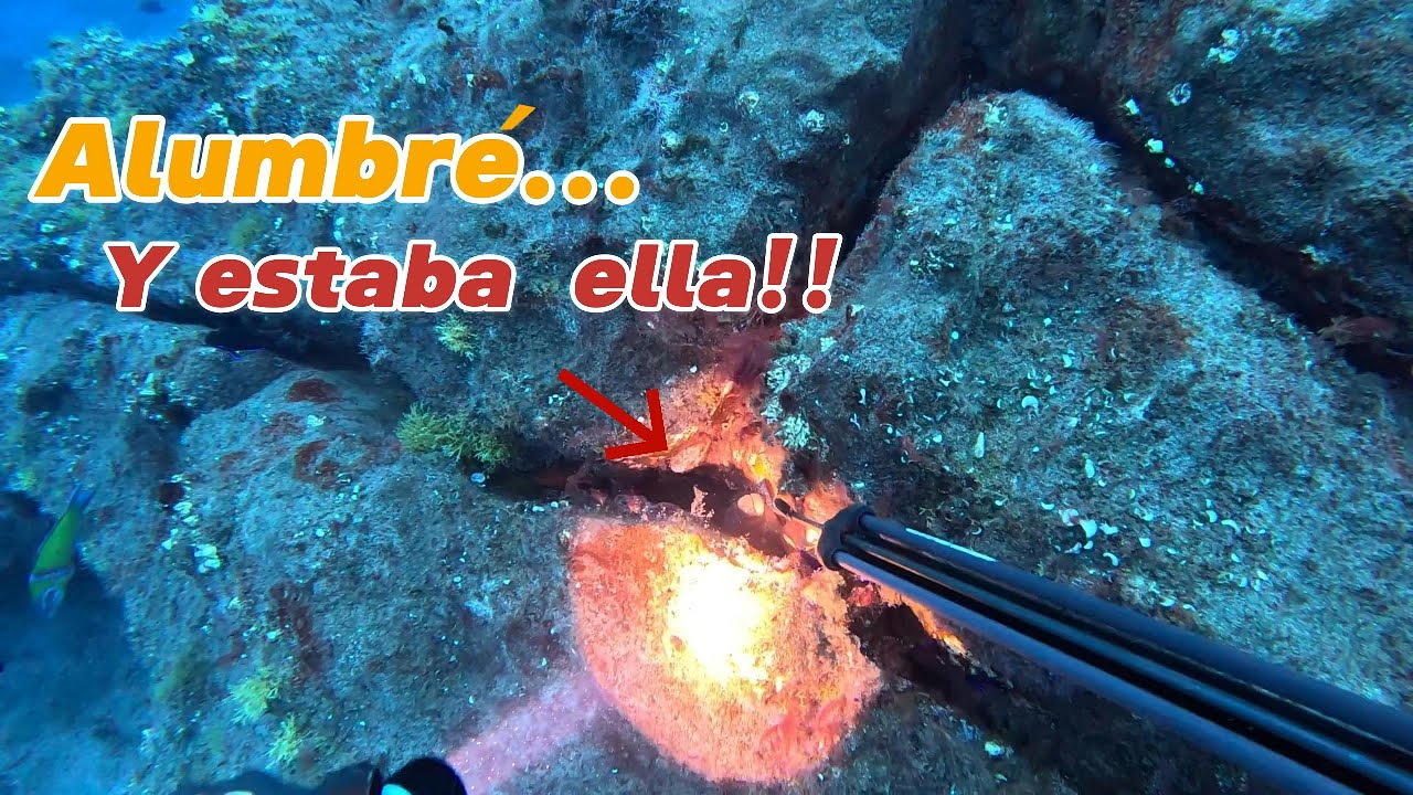 Este BAJON tenía más VIDA de lo que PENSABA...