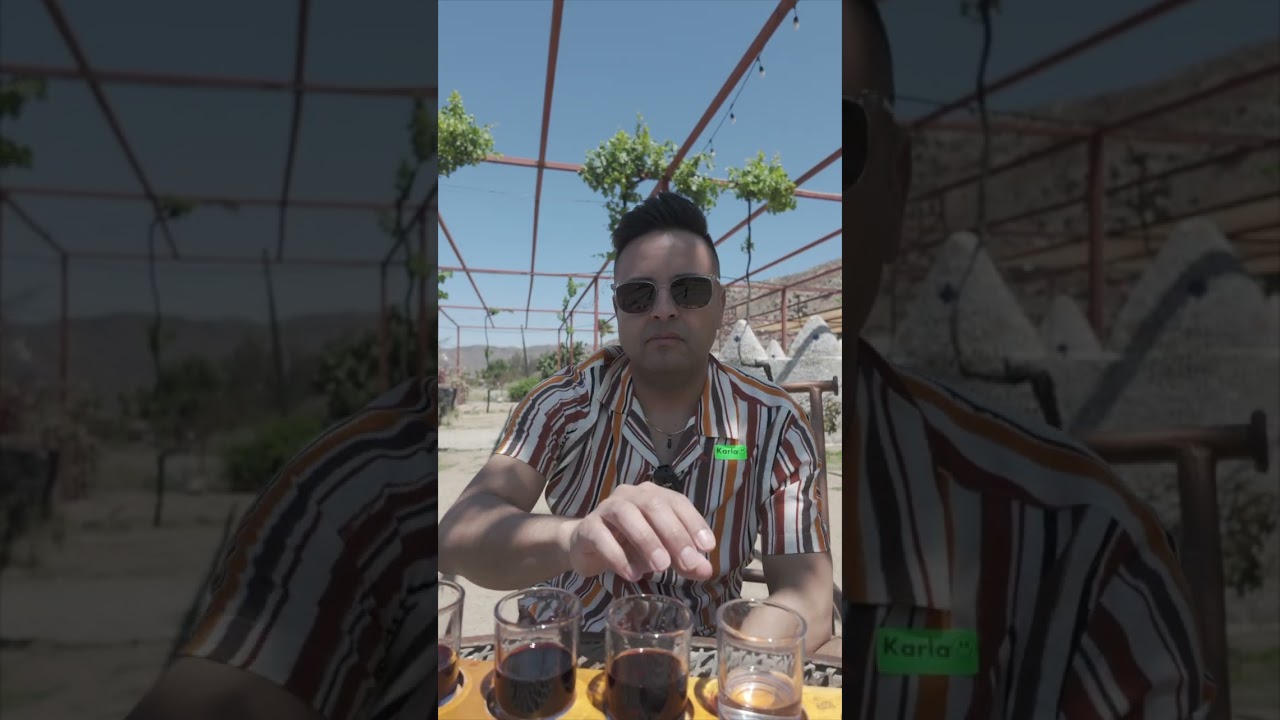 Day 3: Ensenada Wine Tour Teaser Scene