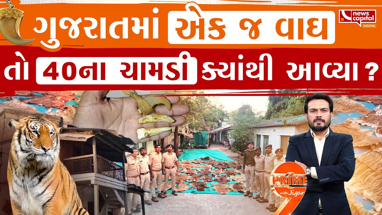 શિવજીના મંદિરમાંથી વાઘનાં મળવાનું રહસ્ય