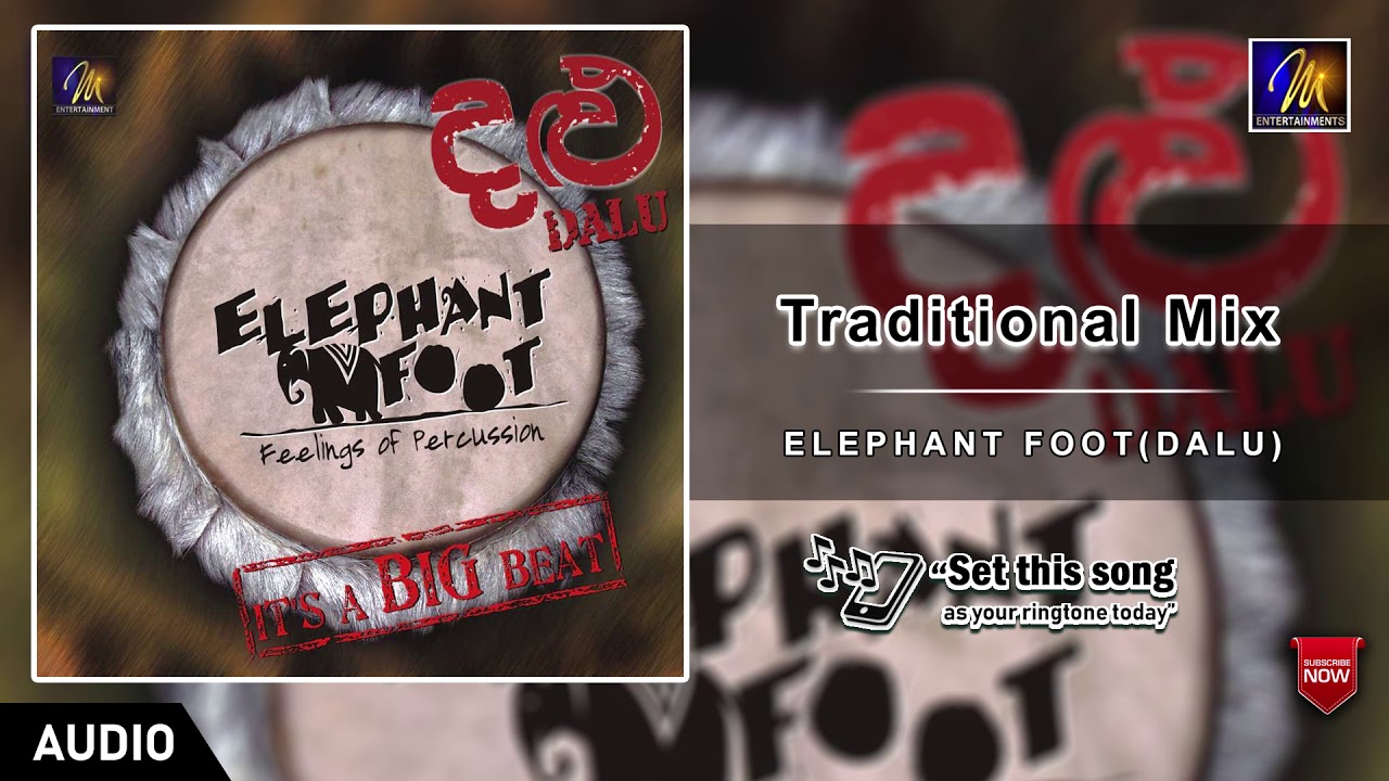 Traditional Mix | Elephant Foot (Dalu)