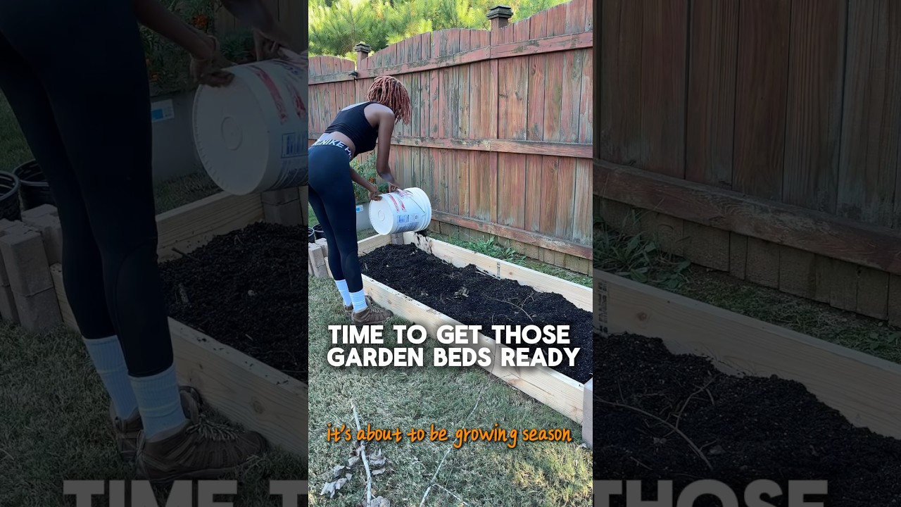 How to Start a Garden Bed With No Tools (Beginner-Friendly)