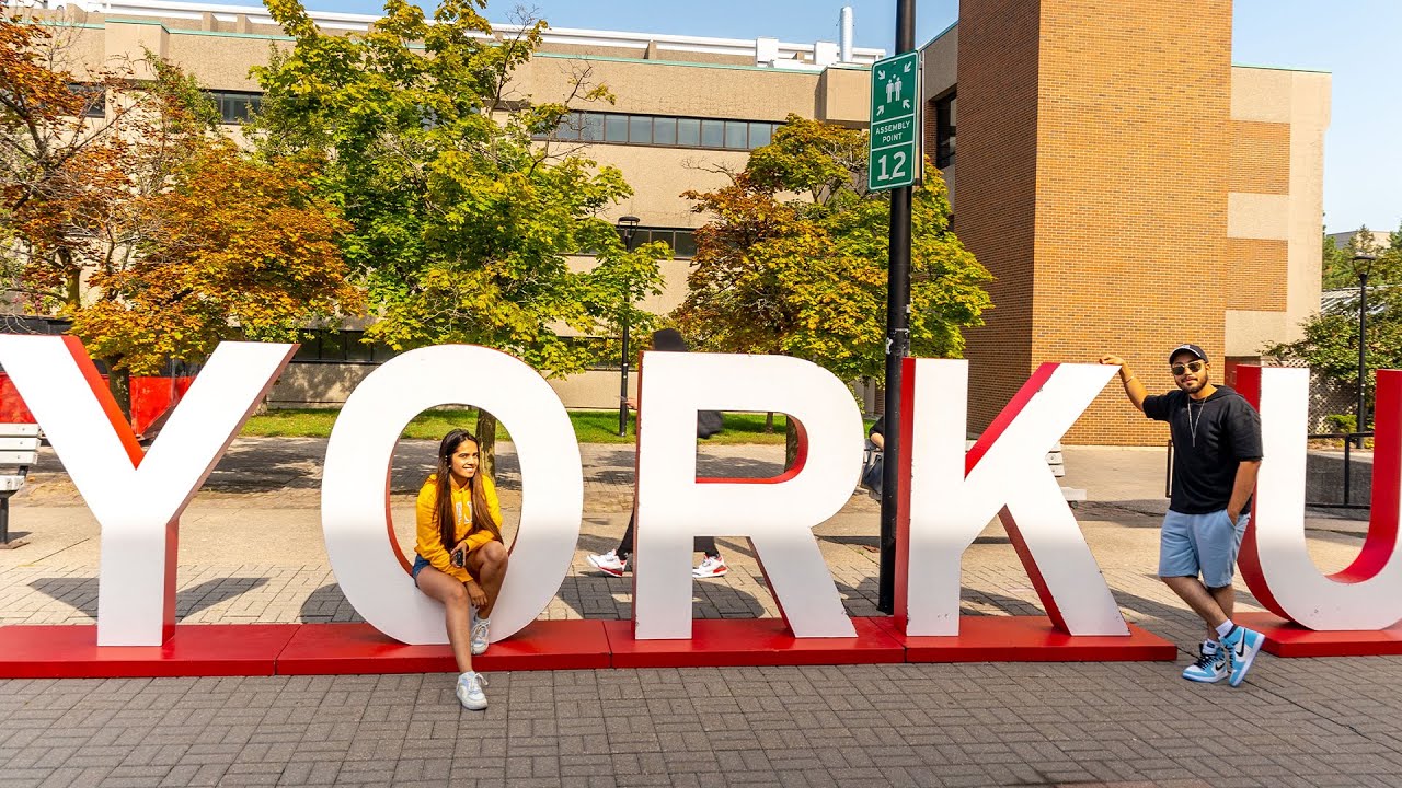 We Asked York U Students What Program They Are In and Why (Part II)