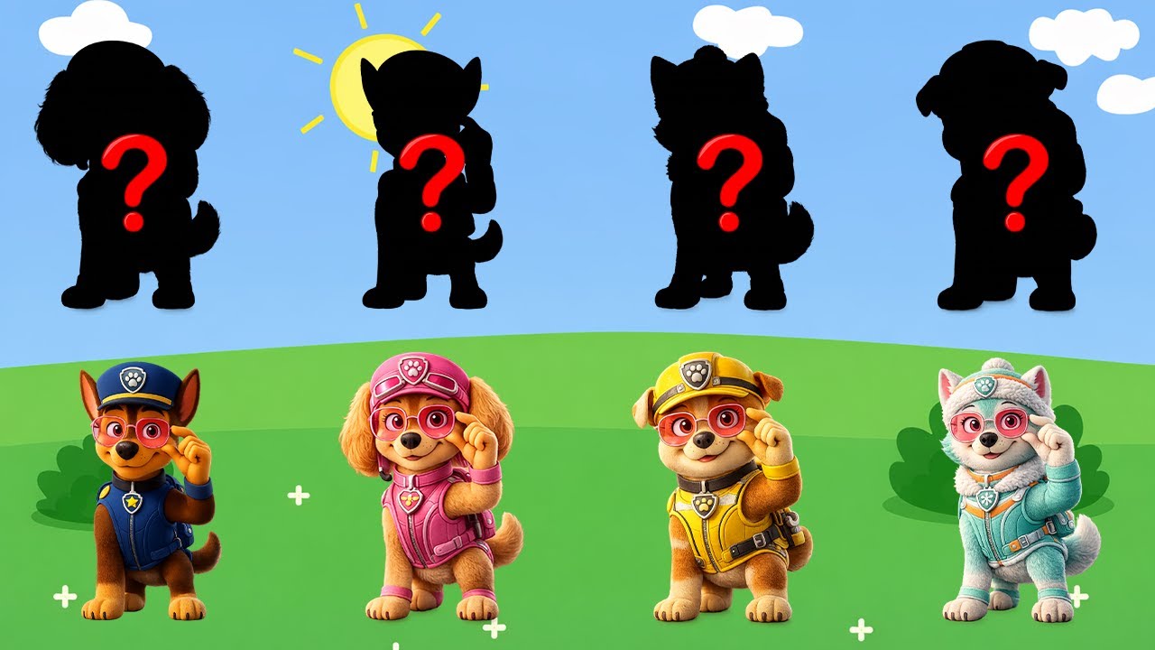 Paw Patrol and Friends Learn Kids Useful Stories for Kids Cartoon Paw Patrol P11