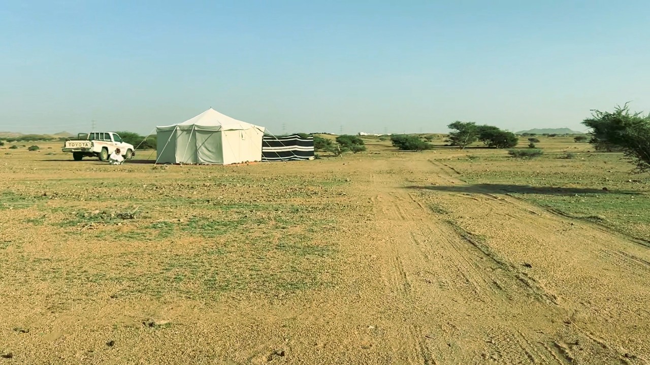 ربيع محافظة الوجه طريق ضباء في منطقة تبوك / جولة في الربيع  على ساحل البحر الاحمر