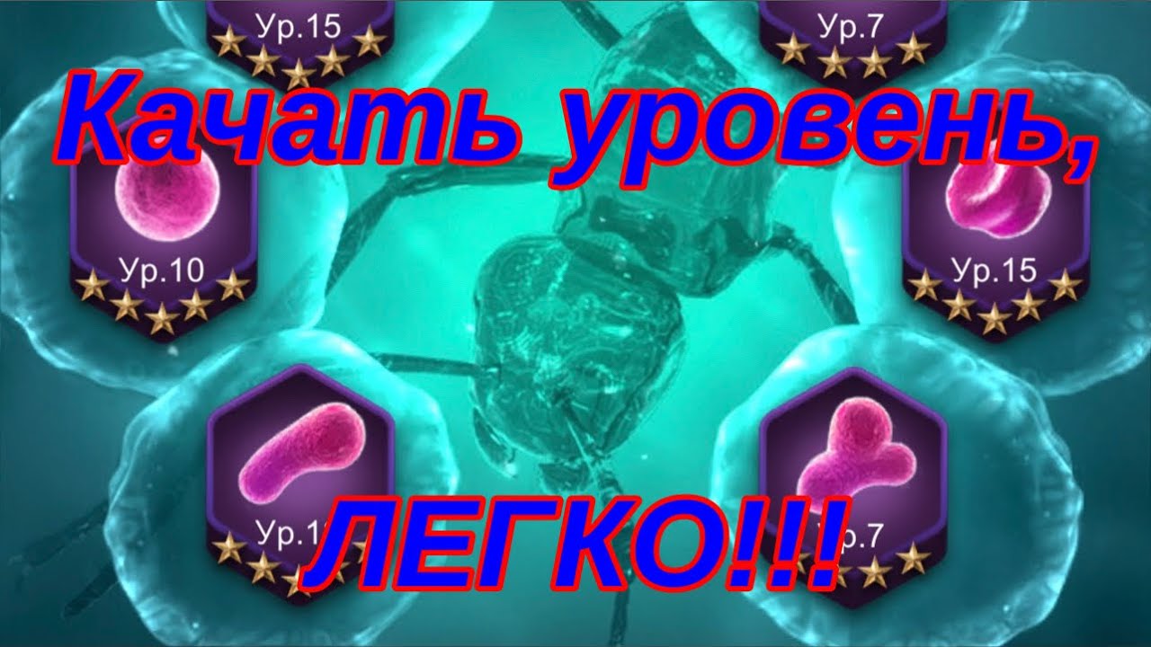 The Ants. Прокачка клеток.