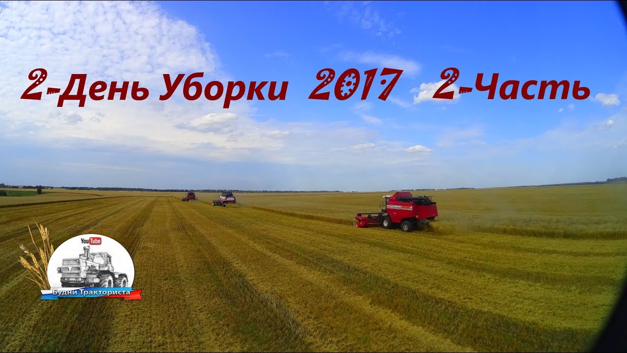 Уборка 2017! Молотим пшеницу в три комбайна! Мои первые 5 рейсов на МАЗе!