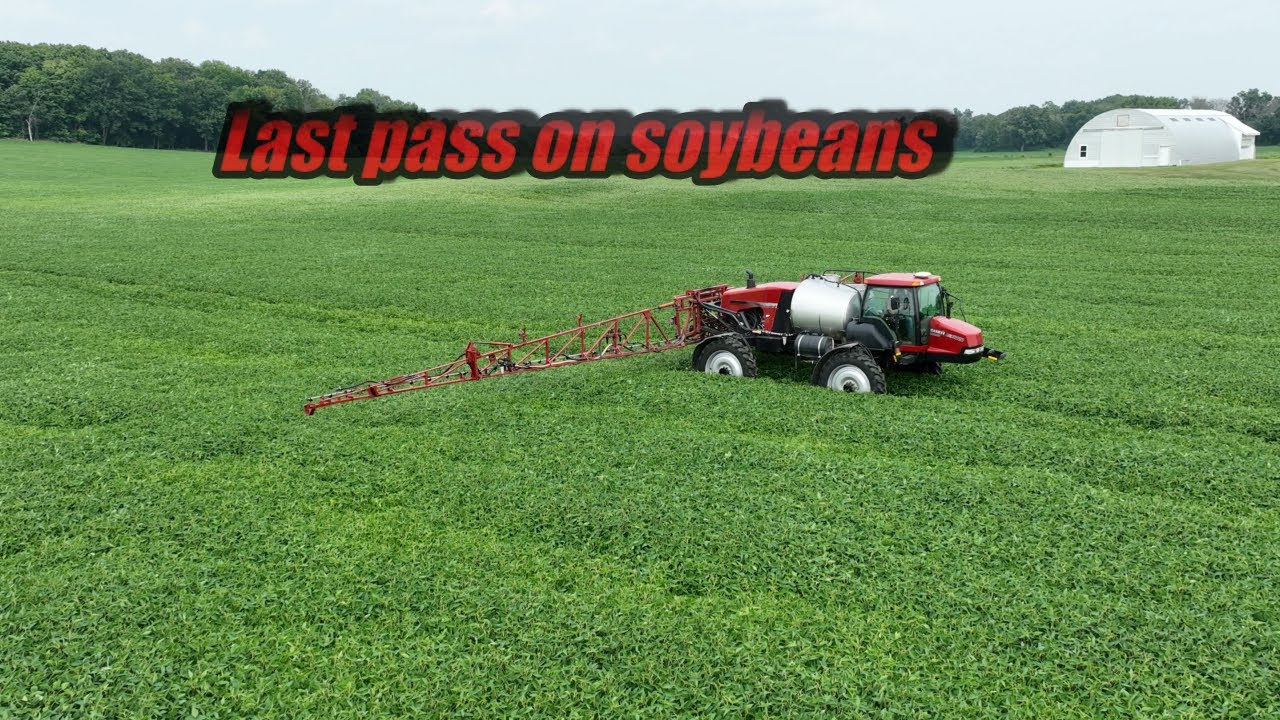 Foliar Feeding Soybeans