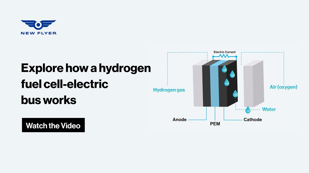 Discover How a Hydrogen Fuel Cell-Electric Bus Works