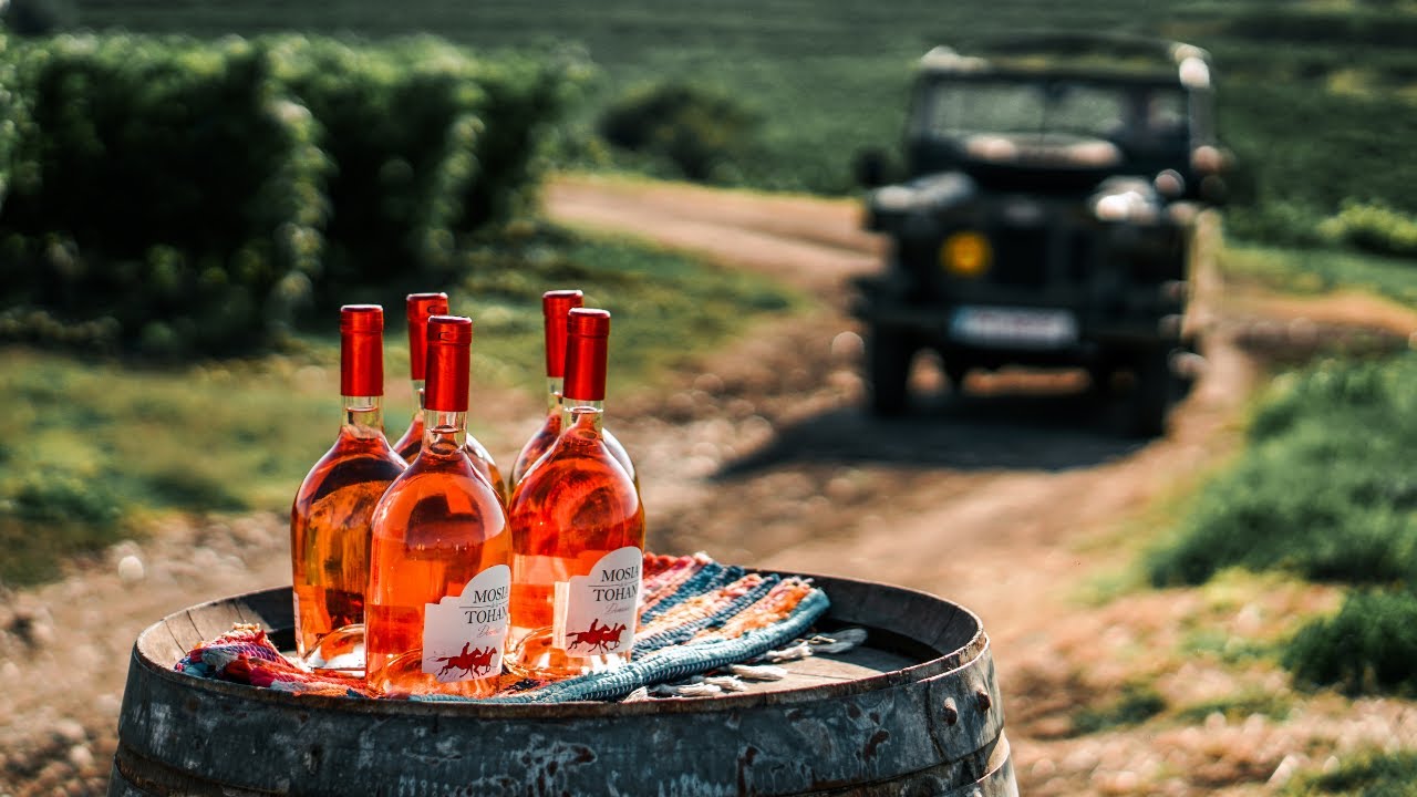 Acasă la Feteasca Neagră - Povestea Tohani România