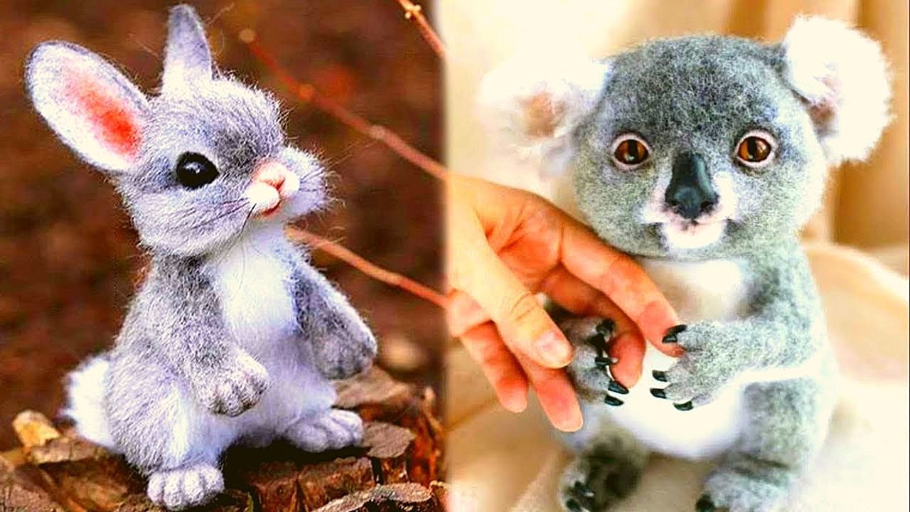 😻Baby Cats - Cute and Funny Cats Videos Compilation #20 - Animal Hub😻