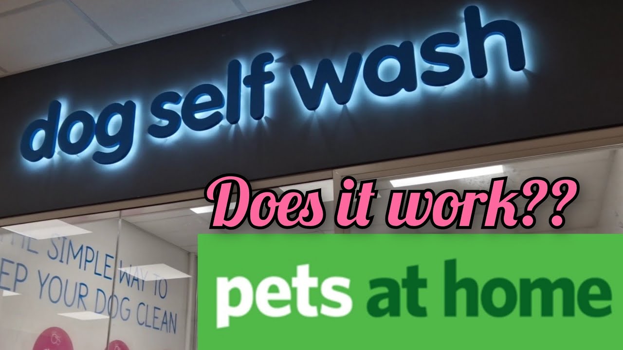 Pets At Home *DOG SELF WASH* Is it worth it??🚿