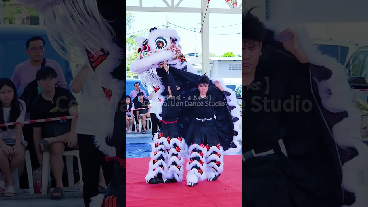 2025《九洲杯》全国高桩舞狮邀请赛Kejohanan Tarian Singa Akrobatik 2025 Negeri Sembilan柔佛州居銮永安园龙狮体育会