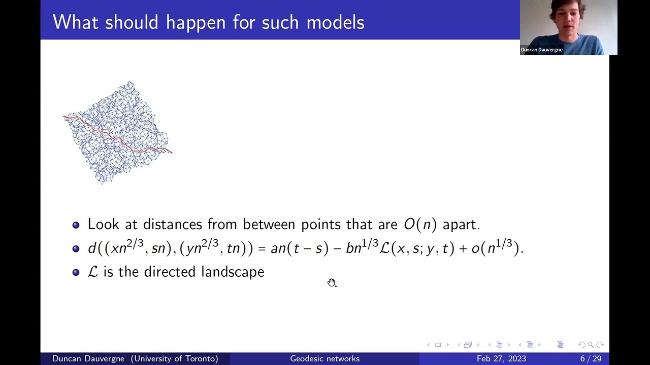 Duncan Dauvergne (Toronto), Geodesic networks in the directed landscape, 27th Feb 2024