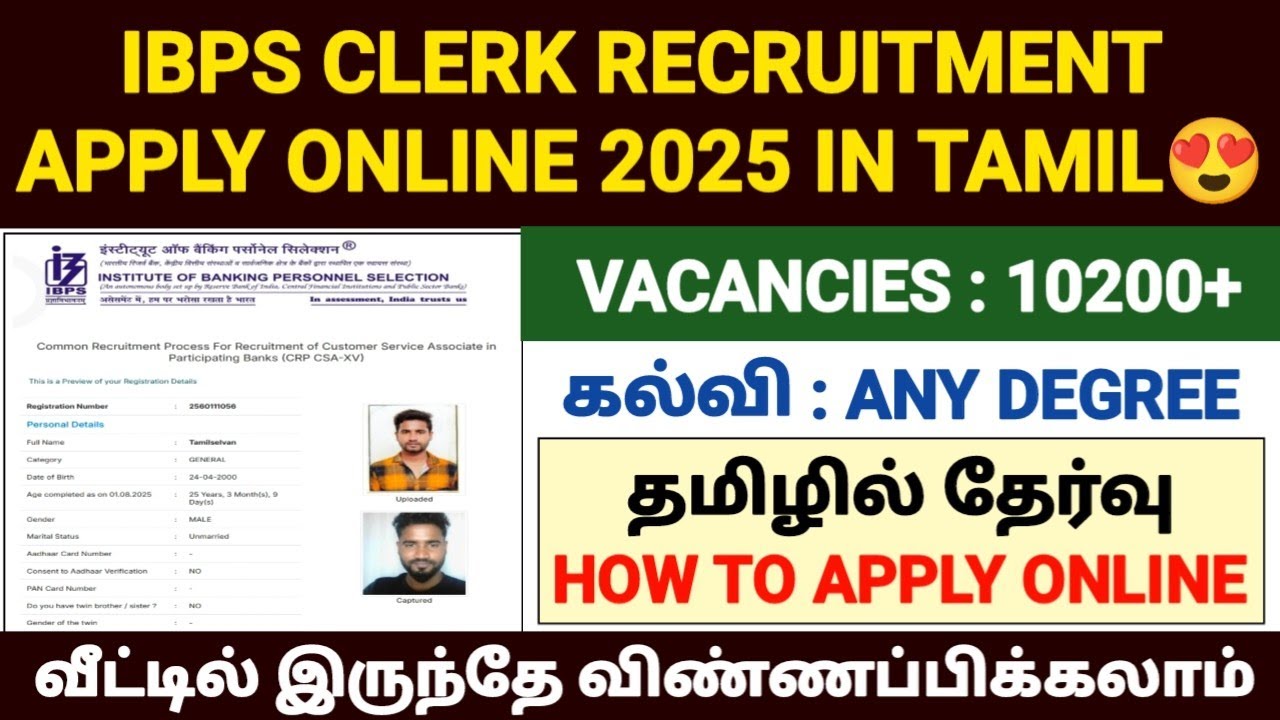 ibps crp clerk apply online 2025 tamil | how to apply ibps clerk 2025 | ibps clerk form fill up 2025