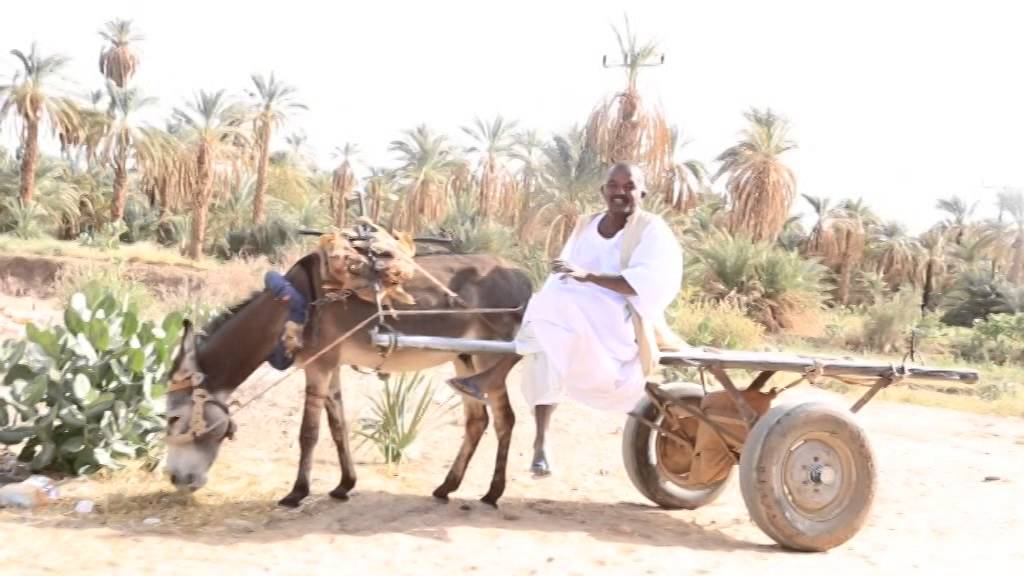 الشوق للبلد ،، خالد مقاشي