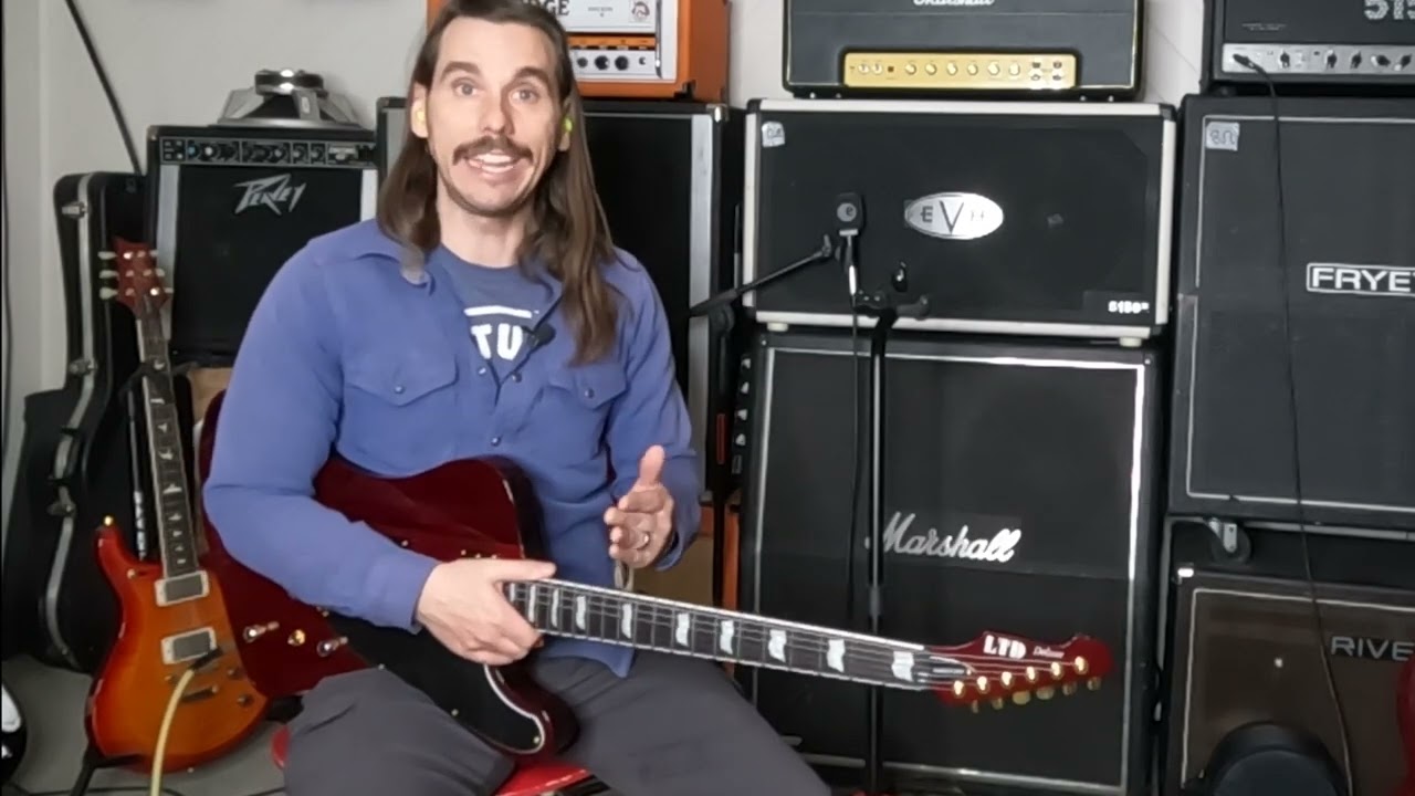 LTD Phoenix-1000 Deluxe Review