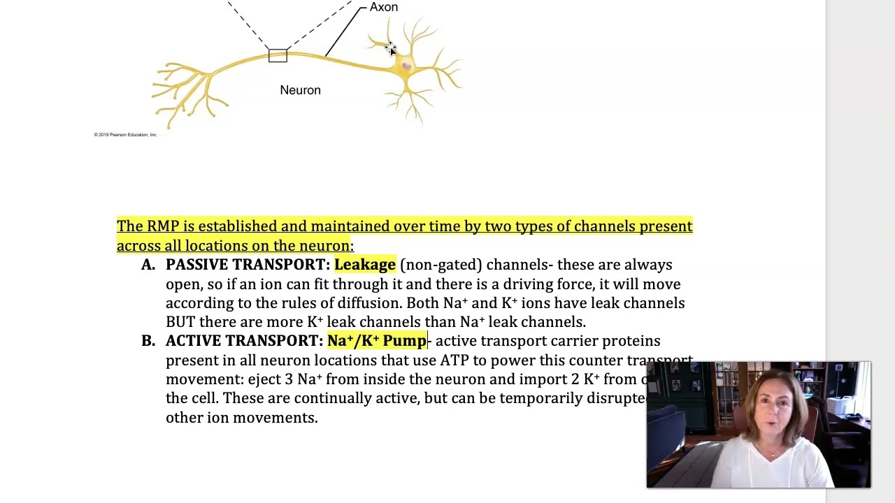 Unit 5 Lecture 2