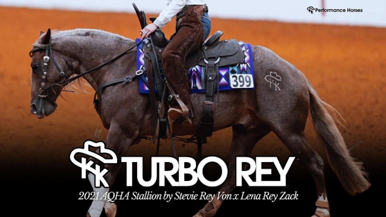 NRCHA MONEY EARNING STUD FOR SALE