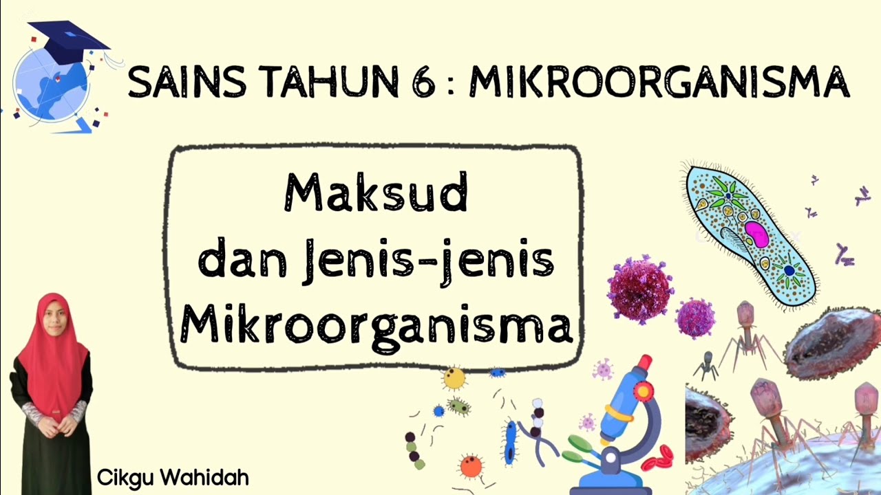 SAINS TAHUN 6 : MIKROORGANISMA (Maksud dan Jenis Mikroorganisma)