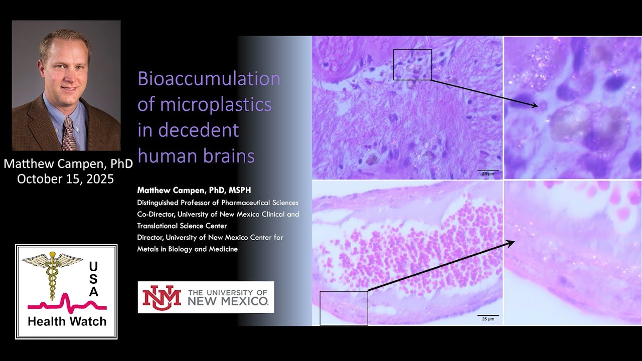 Bioaccumulation of Microplastics in Decedent Human Brains - Dr. Matthew Campen, PhD