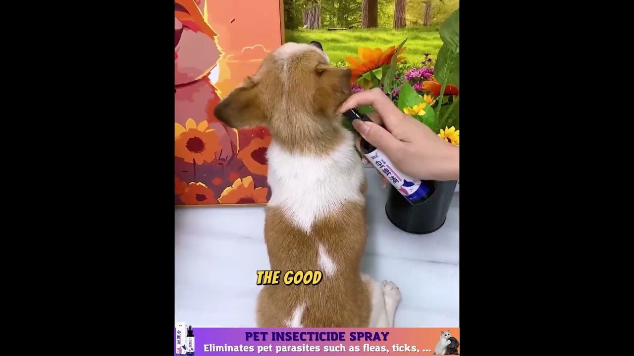 40% Off Pet Insecticide Spray