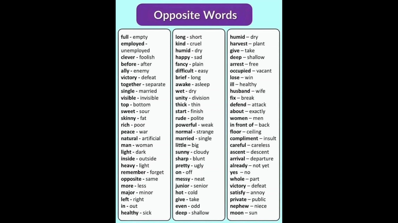 Opposite Words in English || #trending #shorts #education #new #opposite #language #newshorts #gk