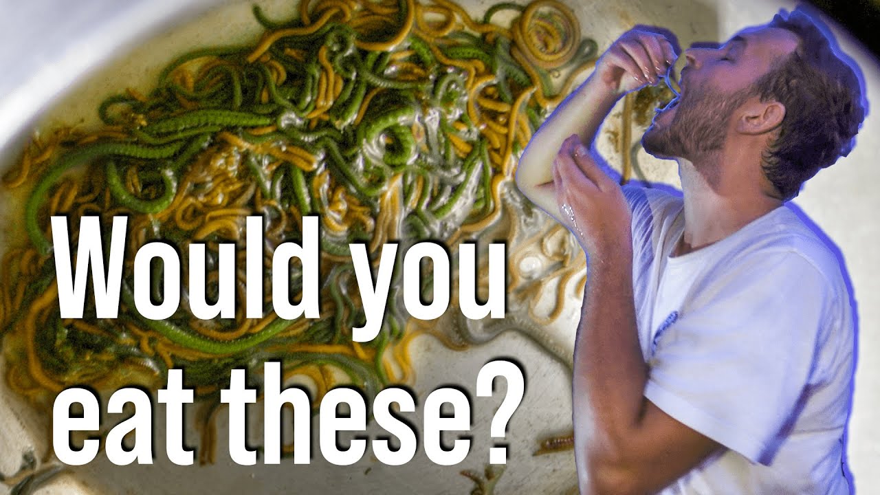 This is the craziest Indonesian festival! Eating raw worms at Bau Nyale // The Lombok Life S1 E3