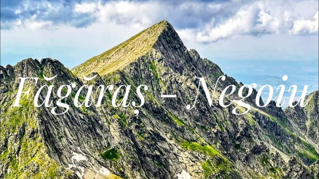 FĂGĂRAȘ # NEGOIU - CORNUL CĂLȚUNULUI - LESPEZI - 30.06.2024