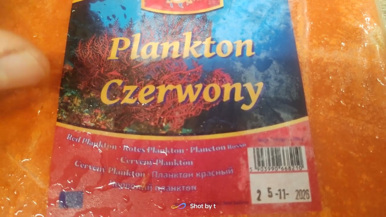 Czerwony plankton. Niesamowita bomba karotenu w żywieniu ryb 