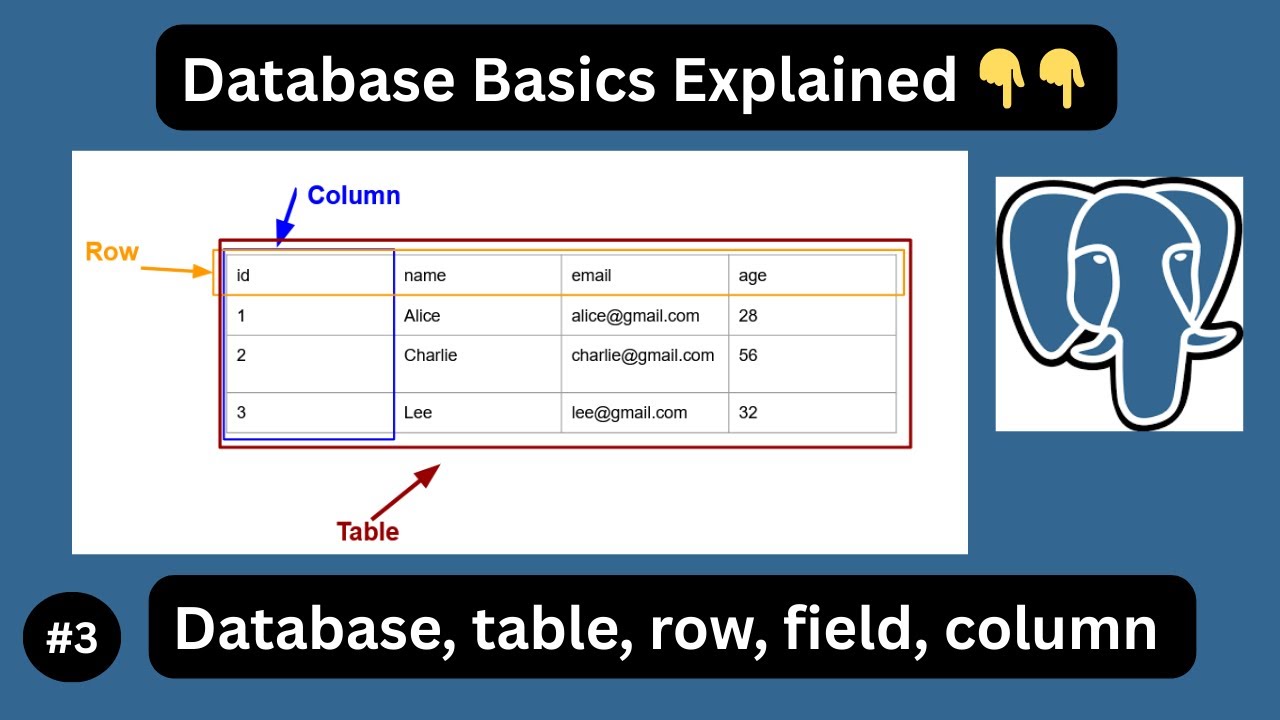What Is a Database? | Tables, Columns, and Fields for Beginners - PostgreSQL Tutorial #3