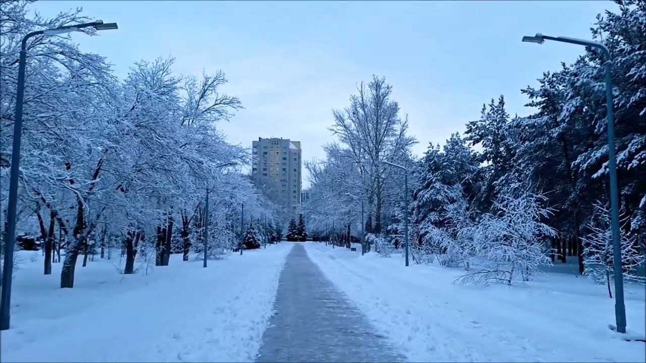 19 февраля 2026 г.