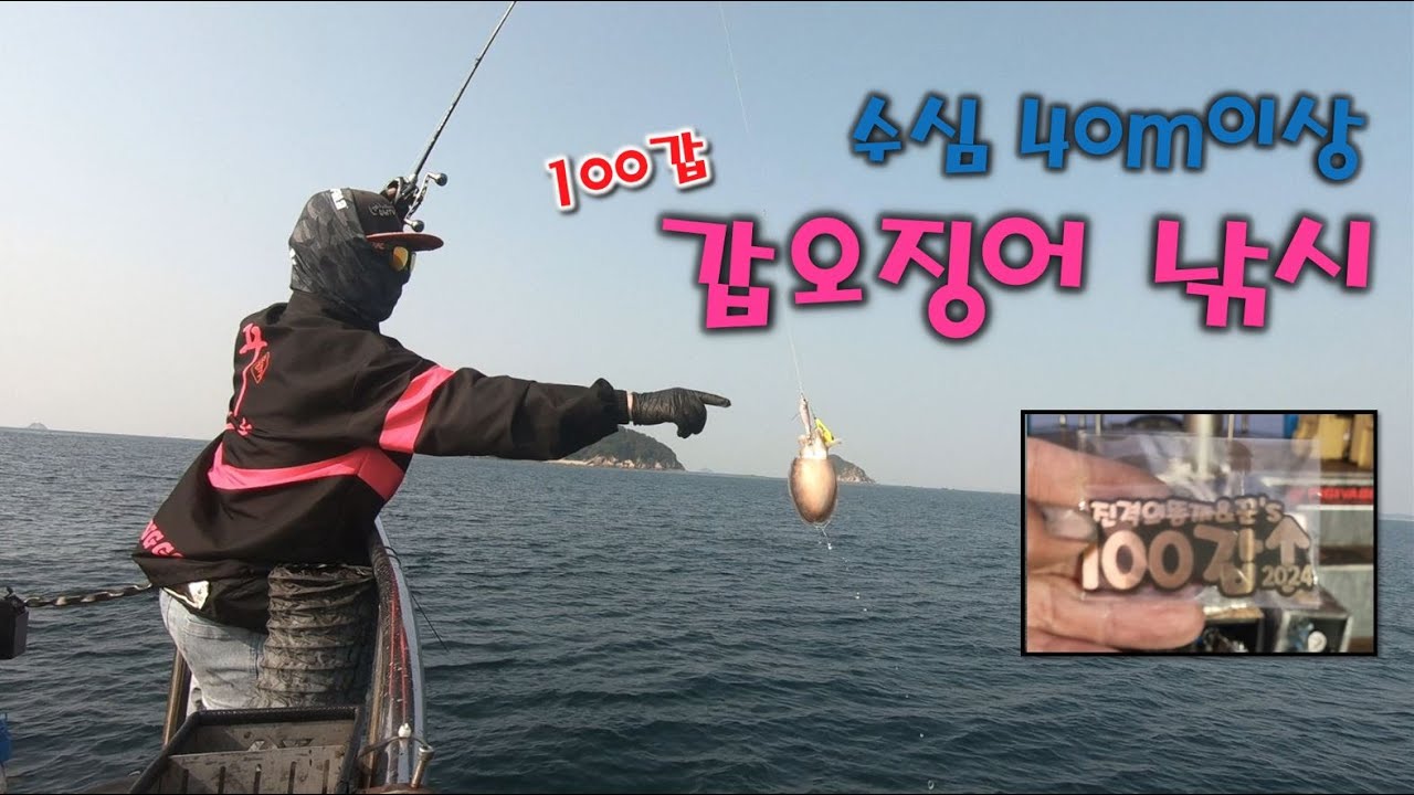 [오천항 똥까호] 3년연속 갑오징어 100갑(20241011_15물) #비행낚시 #바다낚시 #선상낚시