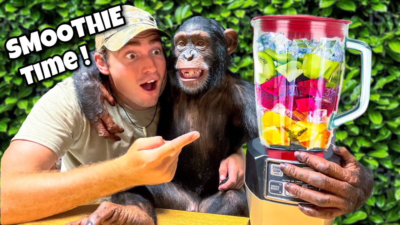 MAKING SMOOTHIES with BABY CHIMPANZEE ! WILL HE LIKE IT ?!