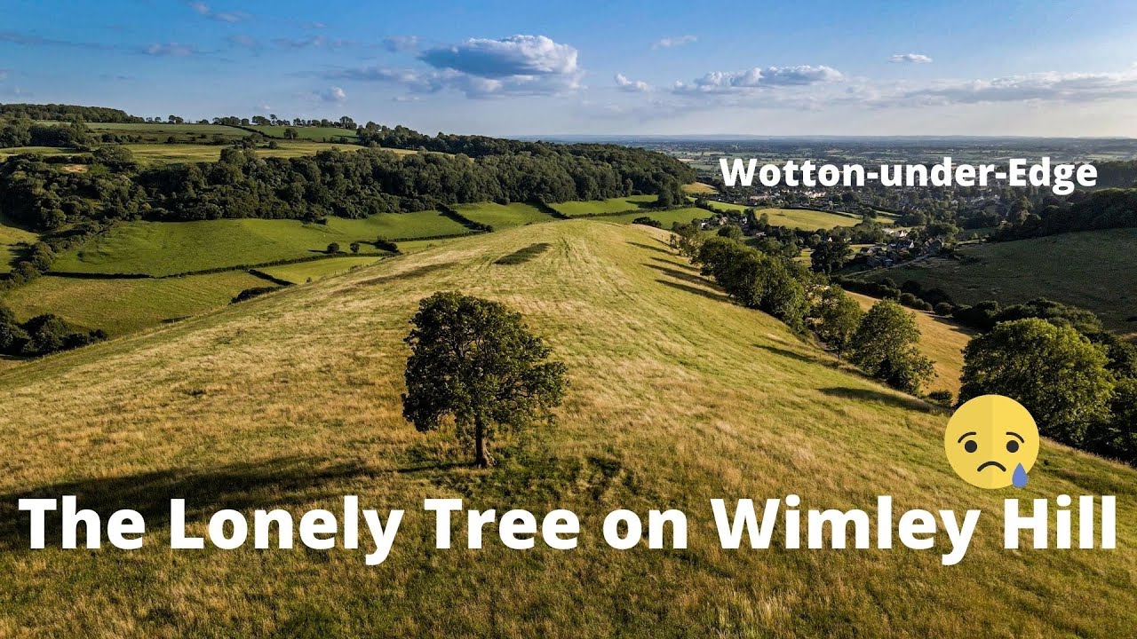 The Lonely Tree on Wimley Hill, Wotton-under-Edge, Gloucestershire, England