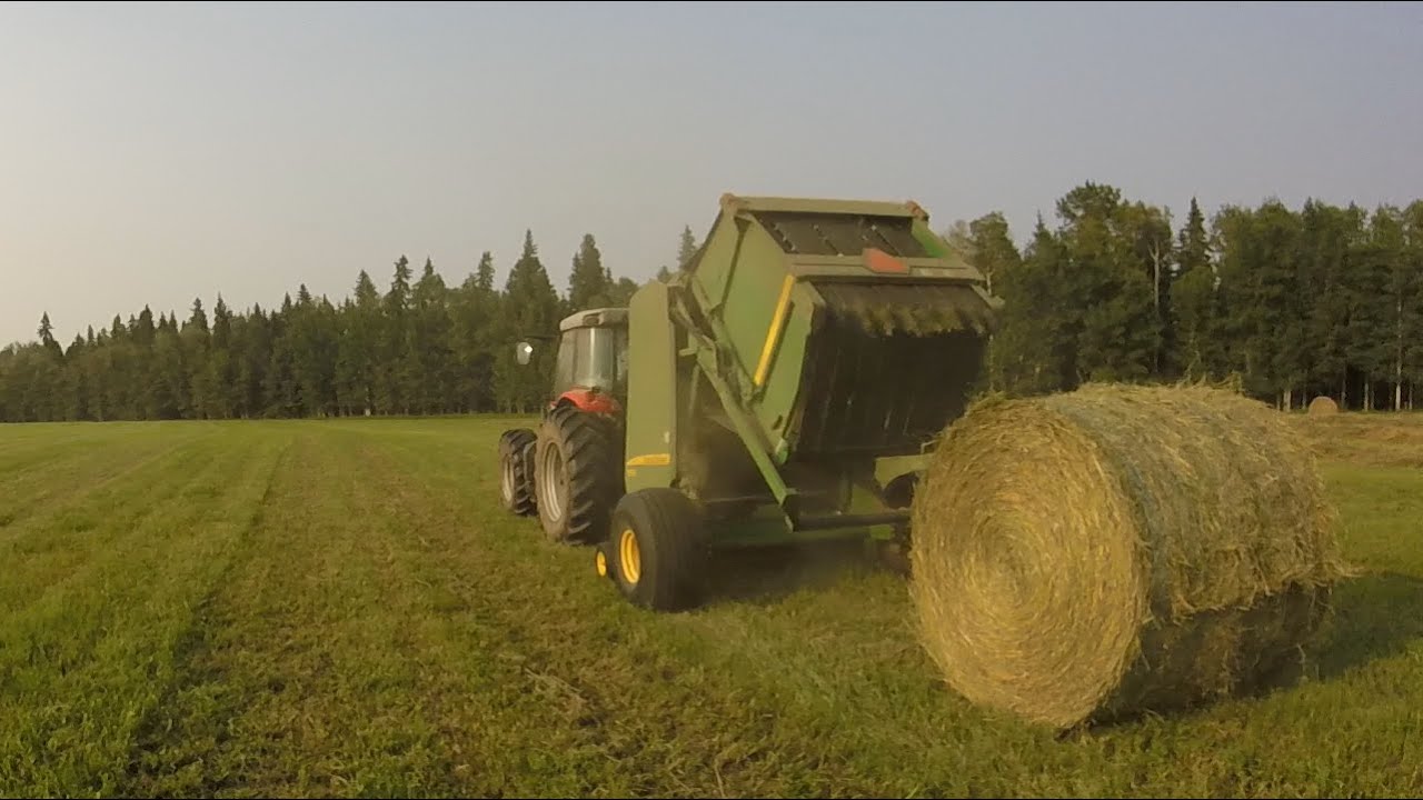 Making Hay - 2023