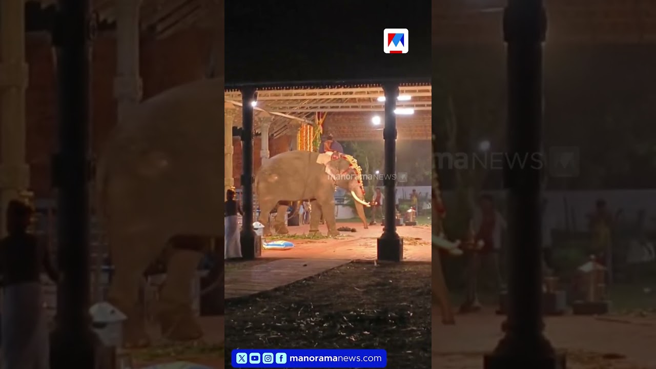 തൃശൂർ മൂർക്കനാട് ശിവക്ഷേത്രത്തിലെ ഉത്സവത്തിനിടെ ആനയിടഞ്ഞു | Elephant