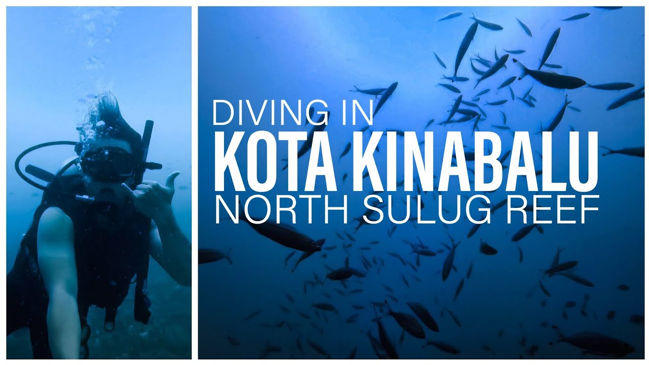 Diving In Kota Kinabalu, Sabah, Malaysia / North Sulug Reef/ Tunku Abdul Rahman Marine Park