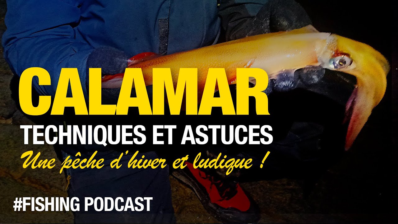 Le Guide du Pêcheur pour Pêcher du CALAMAR en Bord de Mer